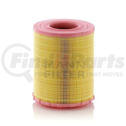 MANN+HUMMEL Filters C29010