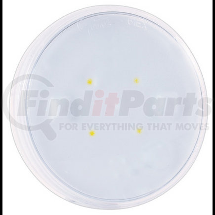 Grote 61E51 Back Up / License Plate Light LED WhiteLight� 4" Dome Lamp, Grommet Mount - Clear
