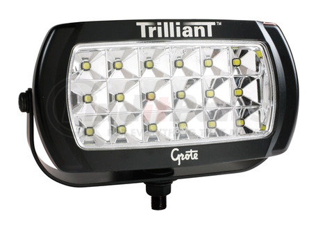 63961 by GROTE - Trilliant LED Work Light, 2000 Lumens, w/ Integrated Switch, Wide Flood, 24V