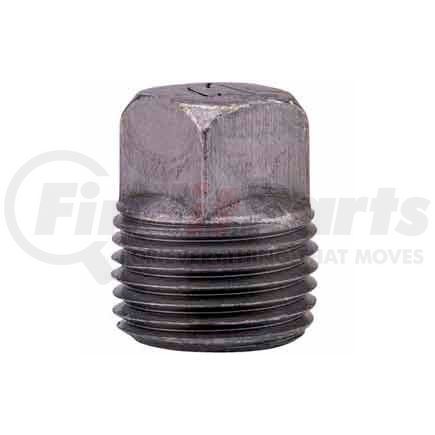 0818902538 by ANVIL INTERNATIONAL - 1-1/2 In. Black Malleable Square Head Plug 150 PSI Lead Free