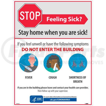 PST142 by NATIONAL MARKER COMPANY - Stay Home When You Are Sick Poster, 18" X 24", Synthetic paper
