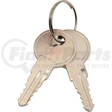 RP9011 by GLOBAL INDUSTRIAL - Global Industrial&#153; Replacement Keys For Computer Cabinet Model 607294/607295, Set Of 2