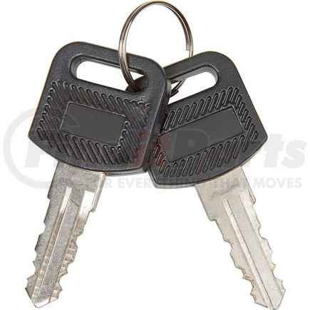 RP9017 by GLOBAL INDUSTRIAL - Global Industrial&#153; 2Pcs Replacement Keys for Charging Cabinets/Carts 985748, 251761, 987877