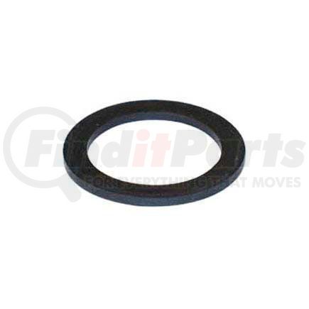 50205509 by APACHE - 2" Buna N Cam and Groove Gasket