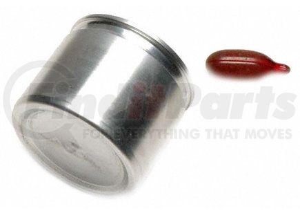 Raybestos DPS85204 Disc Brake Caliper Piston F