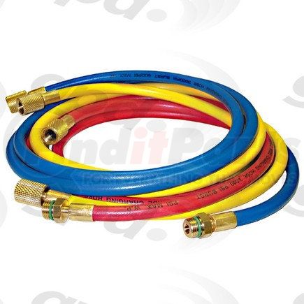 5811622 by GLOBAL PARTS DISTRIBUTORS - Hose Set, R134A, 96 in.