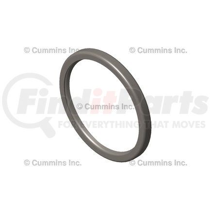 Cummins 188319 SEAL,THERMOSTAT