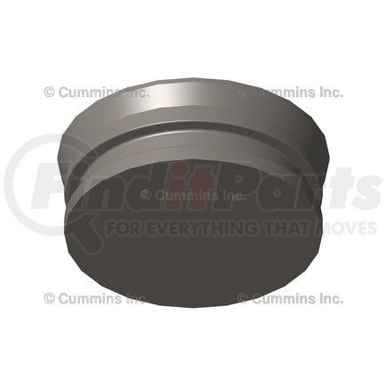 201007 by CUMMINS - Fuel Pump Filter Cap