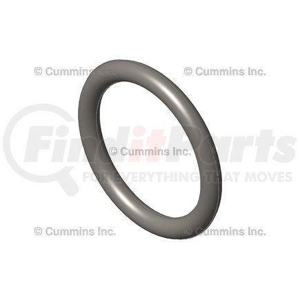 Cummins 102030 O Ring Seal