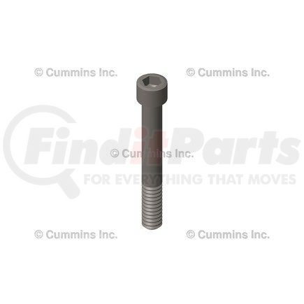 3425111 by CUMMINS - Screw Cap - Socket Head Cap