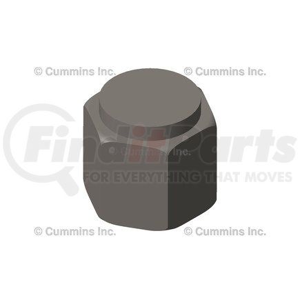 3895861 by CUMMINS - Tube Cap