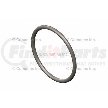 4307319 by CUMMINS - Multi-Purpose O-Ring