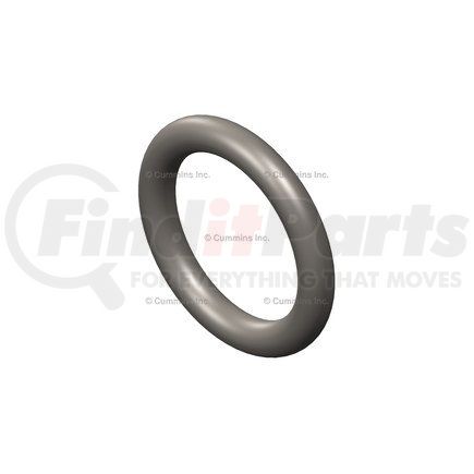 4898372 by CUMMINS - O Ring Seal