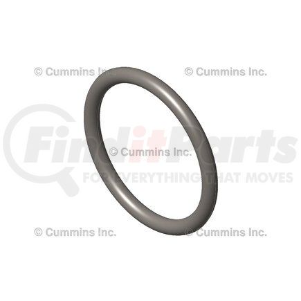 5484395 by CUMMINS - Multi-Purpose O-Ring