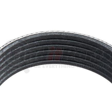 1060605 by GOODYEAR - Serpentine Belt - Multi V-Belt, 60.5 in. Effective Length, Polyester