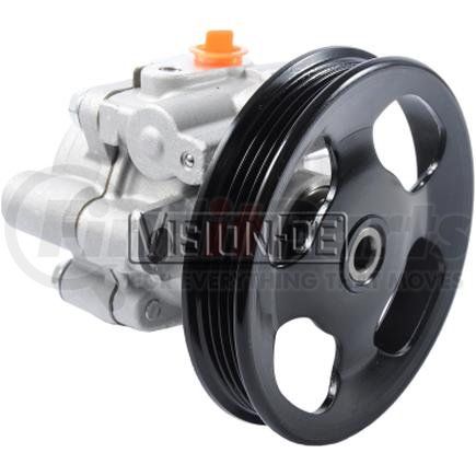 N990-0224 by VISION OE - NEW PUMP REPL. 5684N