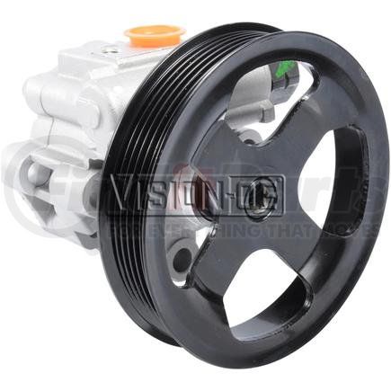 N990-0667 by VISION OE - NEW PUMP REPL. 5762N