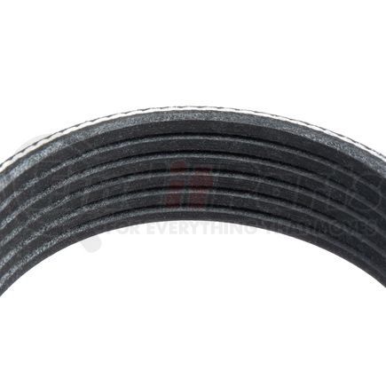 1060605 by GOODYEAR BELTS - Serpentine Belt - Multi V-Belt, 60.5 in. Effective Length, Polyester