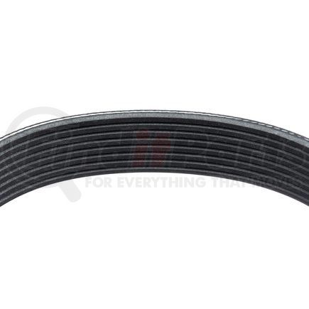 1080495 by GOODYEAR BELTS - Serpentine Belt - Multi V-Belt, 49.5 in. Effective Length, Polyester