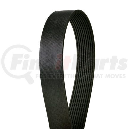 Continental AG 4100603 Serpentine Belt Automotive Multi-V Belt