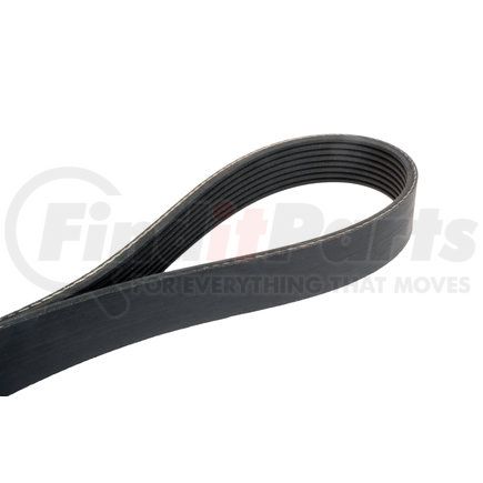 4080560 by CONTINENTAL AG - Automotive Multi-V Belt