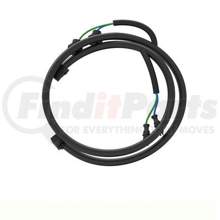 A06-66593-000 by FREIGHTLINER - Headlight Wiring Harness