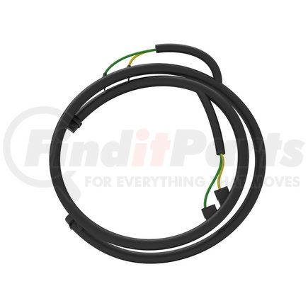 A06-91160-010 by FREIGHTLINER - Electronic Dash Wiring Harness