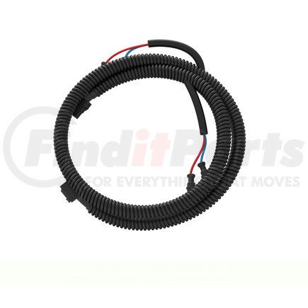 A06-95880-000 by FREIGHTLINER - Hood Wiring Harness - 114BBC, 24U, Right Hand Drive