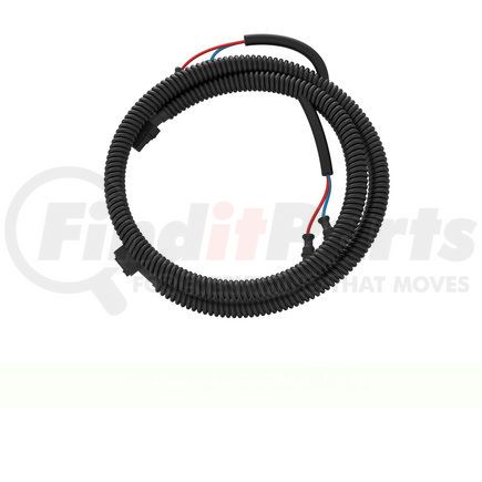 A06-44780-001 by FREIGHTLINER - Sleeper Wiring Harness - Backwall, Daycab, With Daytime Light