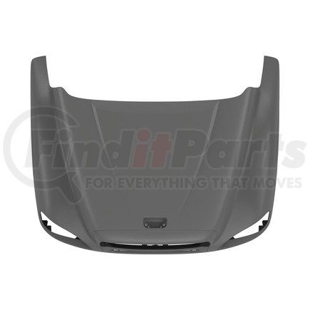 A17-16515-002 by FREIGHTLINER - HOOD COL120 SRV LHD