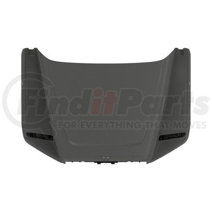 A17-20636-007 by FREIGHTLINER - Hood