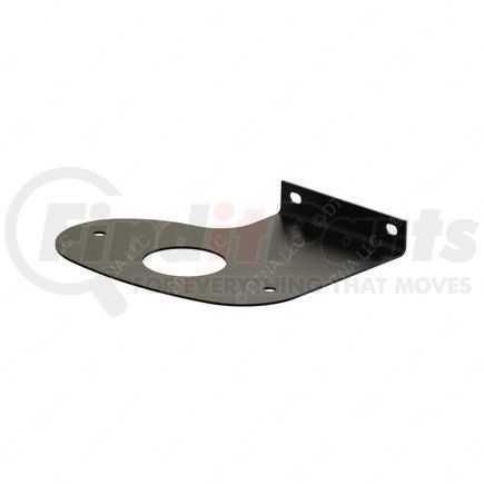 22-61619-002 by FREIGHTLINER - PLATE-AUX