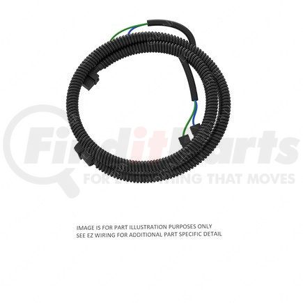 A06-25190-001 by FREIGHTLINER - Interior Light Wiring Harness - Pass Door Switch, Dome Light, CC