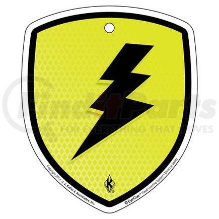 43313 by JJ KELLER - EyeCue Tags - Electrical Safety Electric Shock Hazard Reminder - Tag, 3" x 4" (10-Pack)