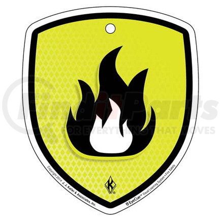 43806 by JJ KELLER - EyeCue Tags: Fire Safety Fire Hazard Reminder - Tag, 3" x 4" (10-Pack)