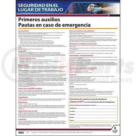63389 by JJ KELLER - First Aid Guidelines Instructional Chart - Spanish Poster
