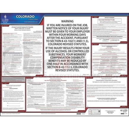 62768 by JJ KELLER - 2021 Colorado & Federal Labor Law Posters - State Only Poster (English)