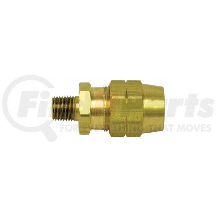 12-36813 by DAYTON PARTS - MALE HOSE END 1/2" X 1/2"