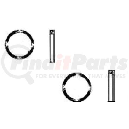 W1292 by GUNITE - Type I Exciter Ring for Meritor FL941 axle (Gunite)