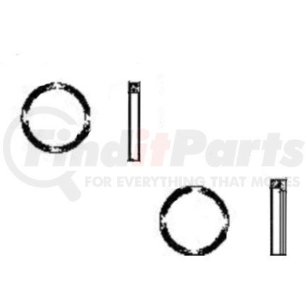 W1317 by GUNITE - Type II Exciter Ring for SAE "R" axle (Gunite)