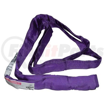 20-ENR1x4 by ANCRA - Lifting Sling - 1 in. x 48in., Purple, Endless Round