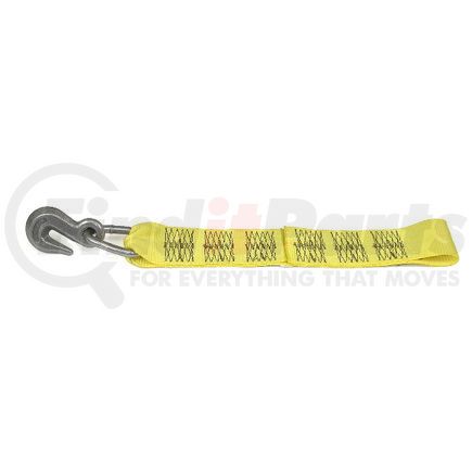 48922-20 by ANCRA - Winch Strap - 3 in. x 18 in., Fixed End Strap, Polyester, with Grab Hook and Loop End