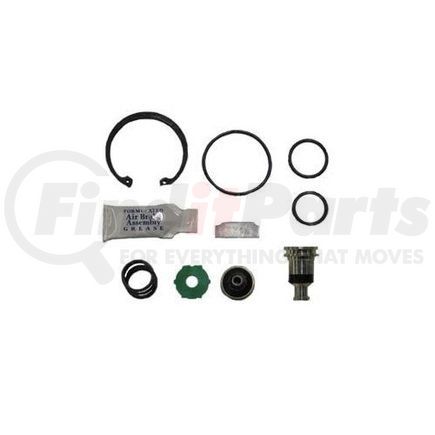 AV5003547 by DAYTON PARTS - PURGE VALVE KIT