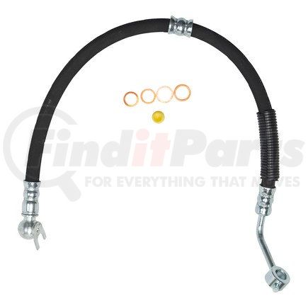 71875 by EDELMANN - 14MM Female x 16MM Banjo