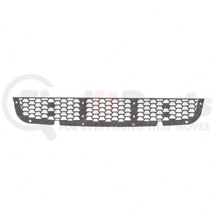 21-28985-002 by FREIGHTLINER - Bumper - Screen, Center