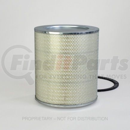 Freightliner DNP182095 Engine Air Filter Air Filter - 394 mm Length