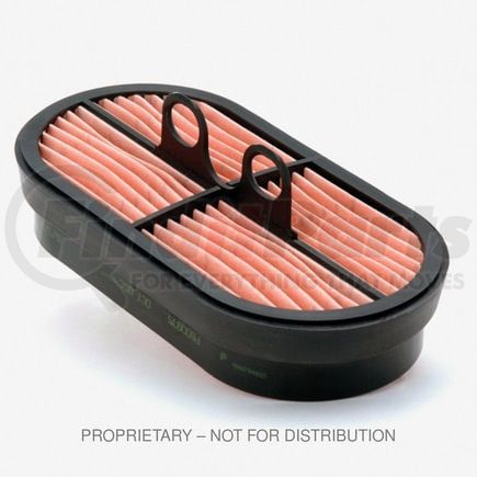 DN-P600975 by FREIGHTLINER - Air Filter - 8.24 in. x 4.22 in.