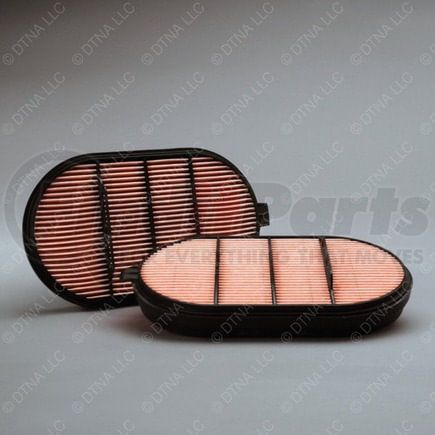 DN-P601560 by FREIGHTLINER - Air Filter - 316.5 mm x 189.5 mm