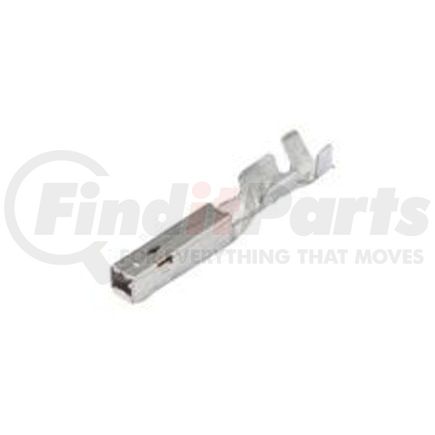 FCI-13779834 by FREIGHTLINER - Female Terminal - Gold Plated, 16.00 to18.00 AWG