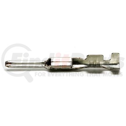 FCI-13630404 by FREIGHTLINER - Male Terminal - 18-16 AWG, Male Connector